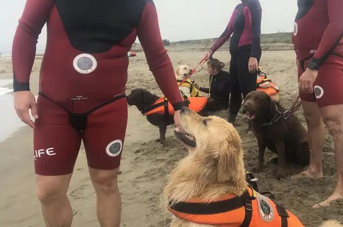 Los perros que salvan vidas en aguas italianas