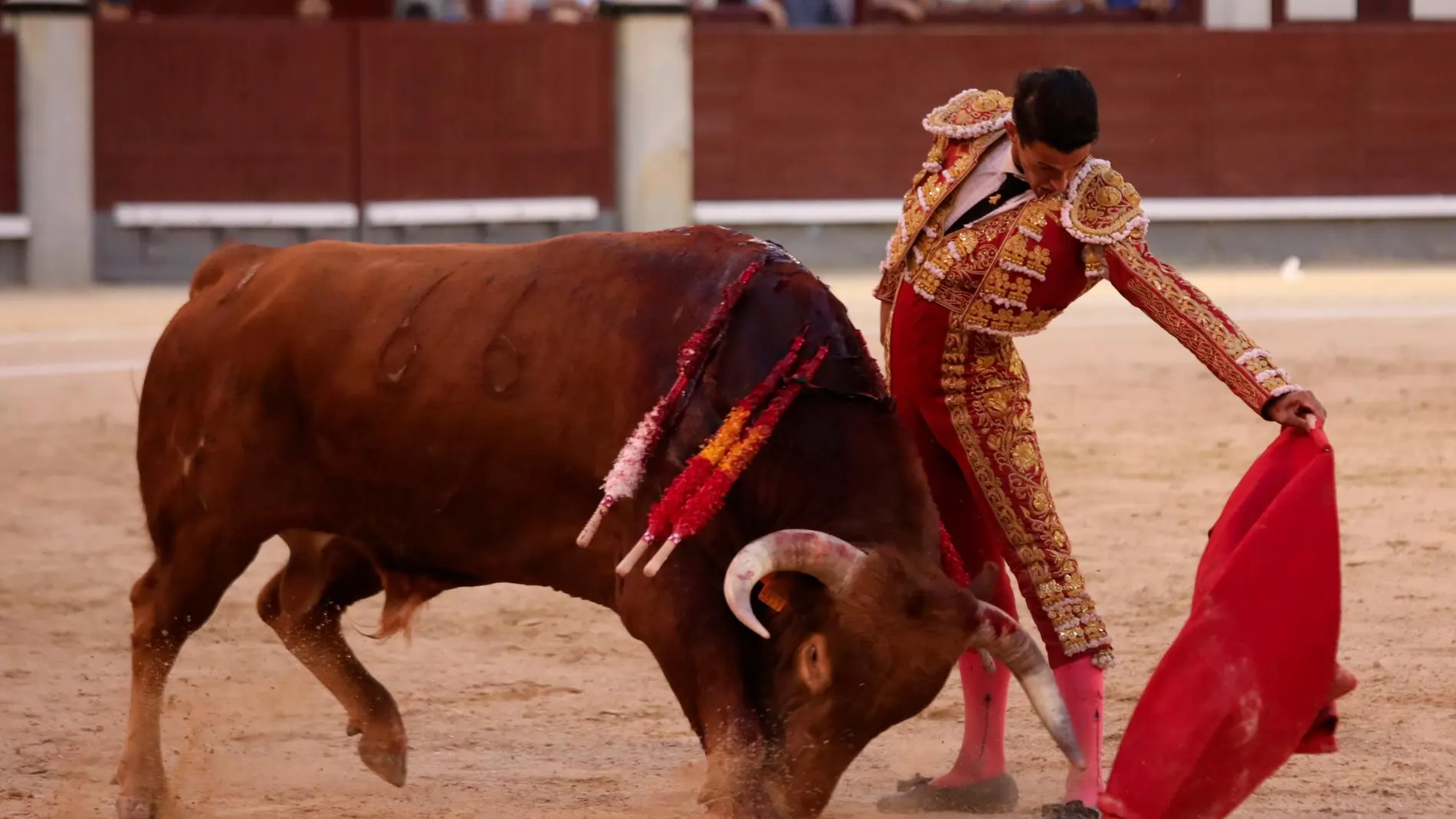 Carlos Aranda da un natural, esta tarde en Las Ventas (Fotos: Rubén Mondelo)