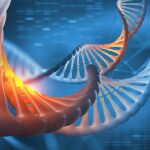 Cómo vivir más y mejor: cuestión de genes