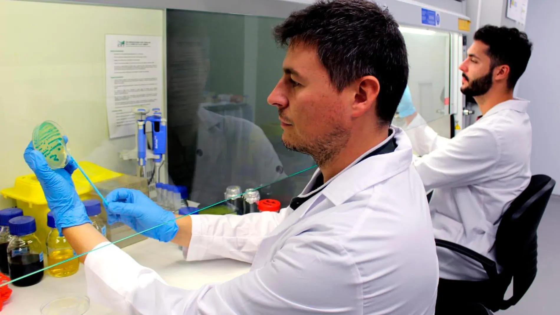 Científicos de Domca y la Universidad de Granada en el laboratorio