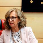 Lourdes Fernández, fiscal superior de Castilla y León, durante una comparecencia en las Cortes