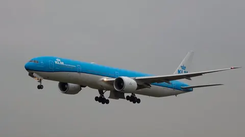En 2014, el vuelo comercial MH17, de KLM en colaboración con Malaysa Airlanes, fue derribado en el este de Ucrania por un misil ruso. Iban a bordo 298 personas.