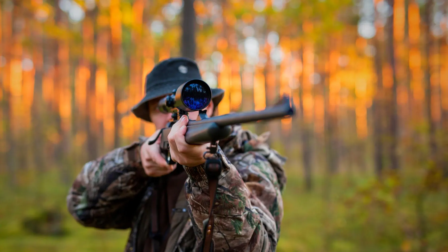Cuchillo o navaja, ¿qué es mejor para salir de caza?, ¿qué dice la ley al  respecto?