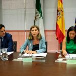 La consejera de Empleo, Rocío Blanco, presentó ayer las medidas a los colectivos de autónomos / Foto: Manuel Olmedo