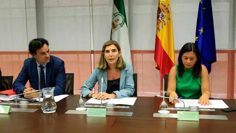 La consejera de Empleo, Rocío Blanco, presentó ayer las medidas a los colectivos de autónomos / Foto: Manuel Olmedo