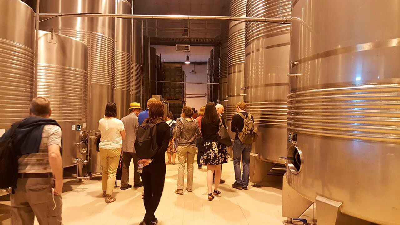 El futuro del enoturismo pasa por Valladolid