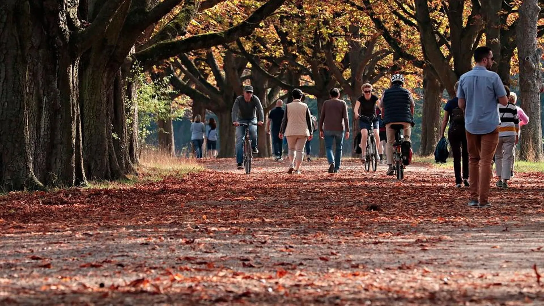 Consejos para que la cuesta de otoño te pese menos