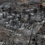 El incendio arrasó más de 5.000 hectáreas