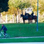 El joven fue localizado por los agentes en el Jardín del Turia. KIKE TABERNER