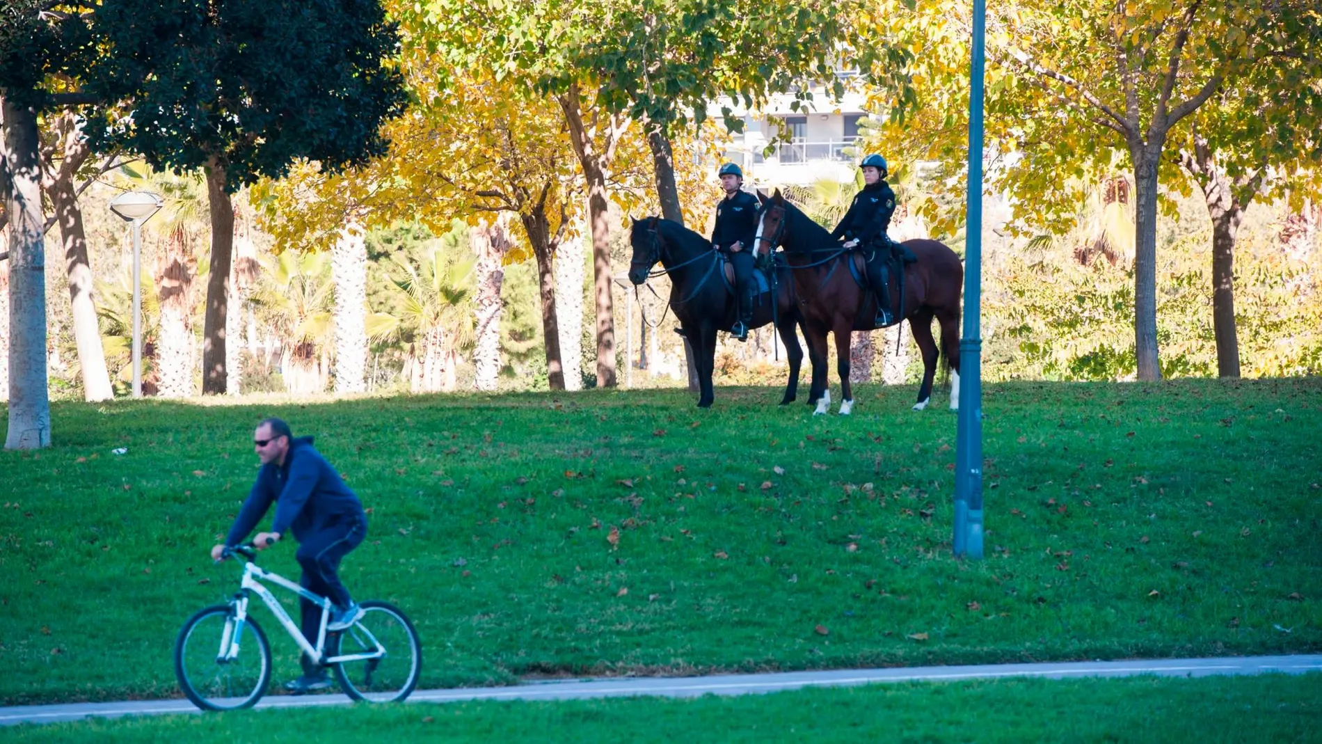 El joven fue localizado por los agentes en el Jardín del Turia. KIKE TABERNER