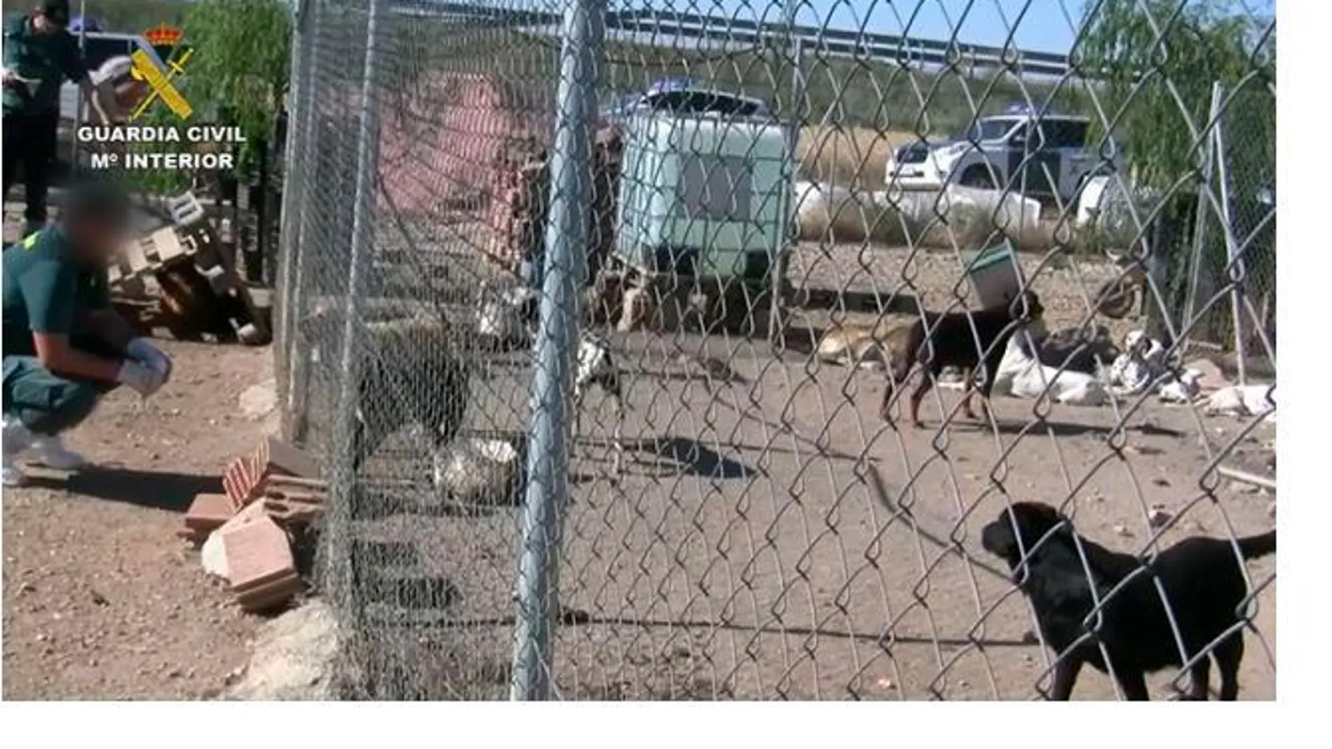 La Guardia Civil detiene al dueño de un criadero por el mal estado de los perros