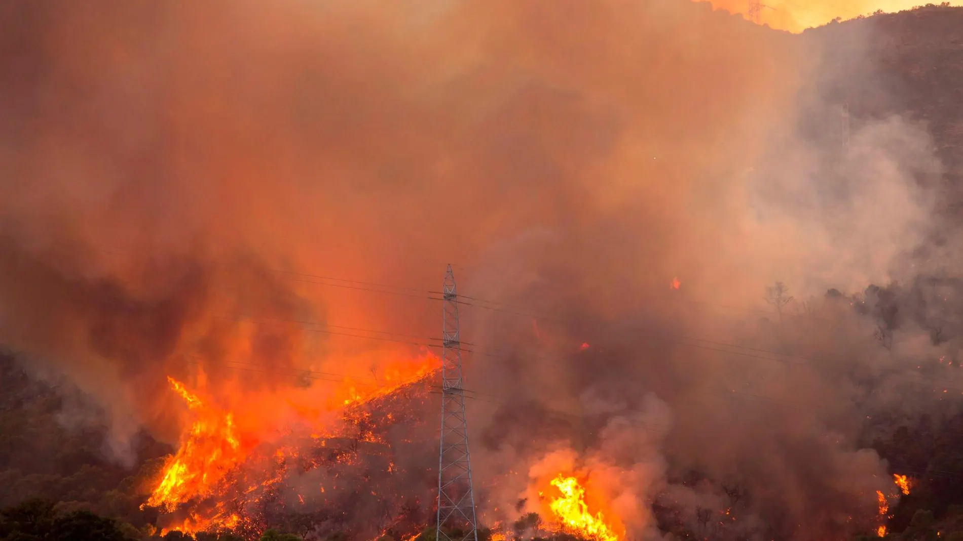 Medio centenar de personas fueron desalojadas de forma preventiva de sus viviendas debido al incendio forestal que afecta desde el mediodía de este lunes al paraje Peñas Blanca de la localidad malagueña de Estepona, próximo a la carretera MA-8301 / Foto: Efe