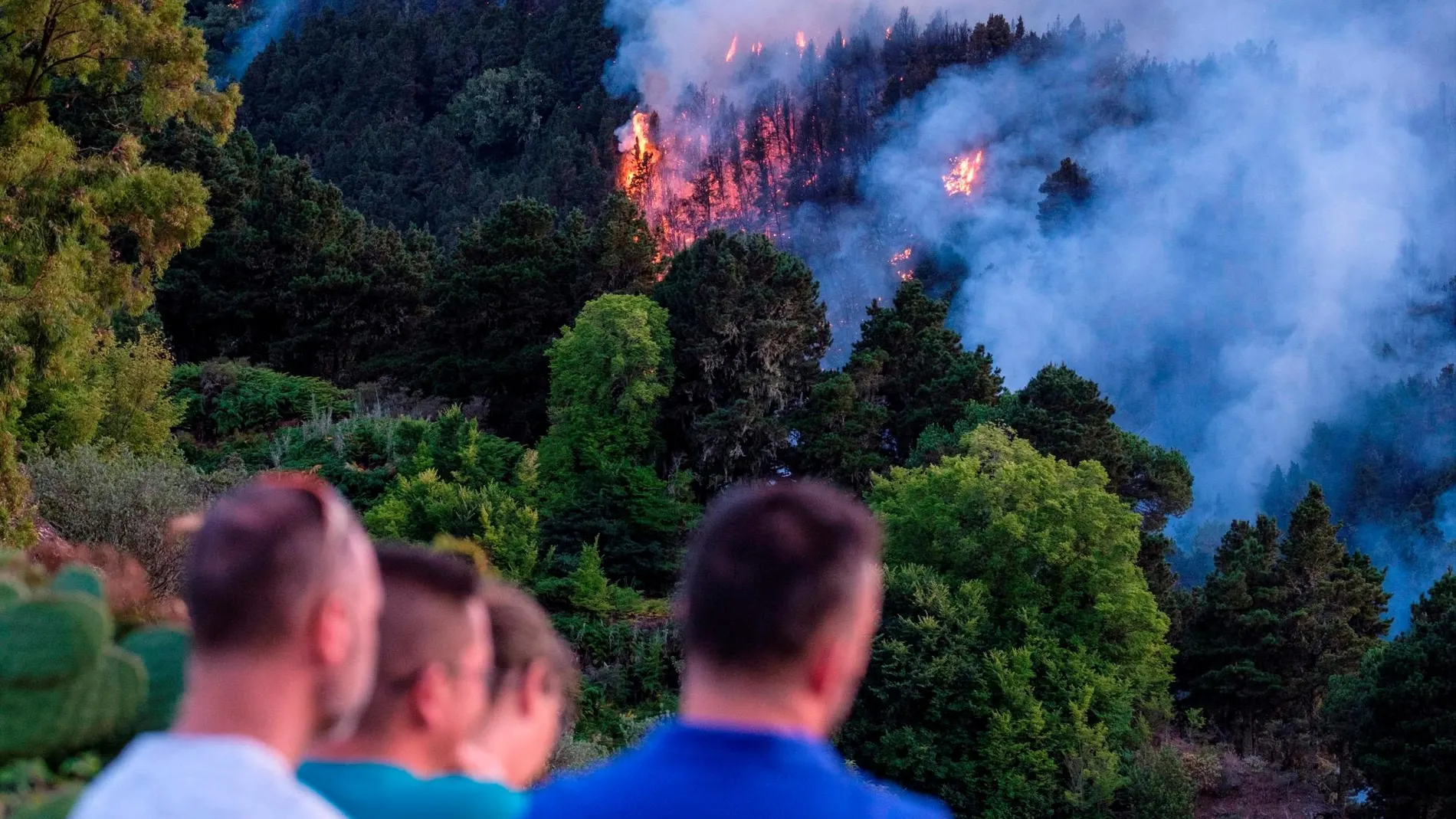 Un dispositivo de emergencia trabaja en la extinción de un incendio en el municipio de grancanario de Valleseco, el tercero importante que se ha declarado en la isla en los últimos ocho días y cuando aún los otros dos no se han dado por extinguidos.