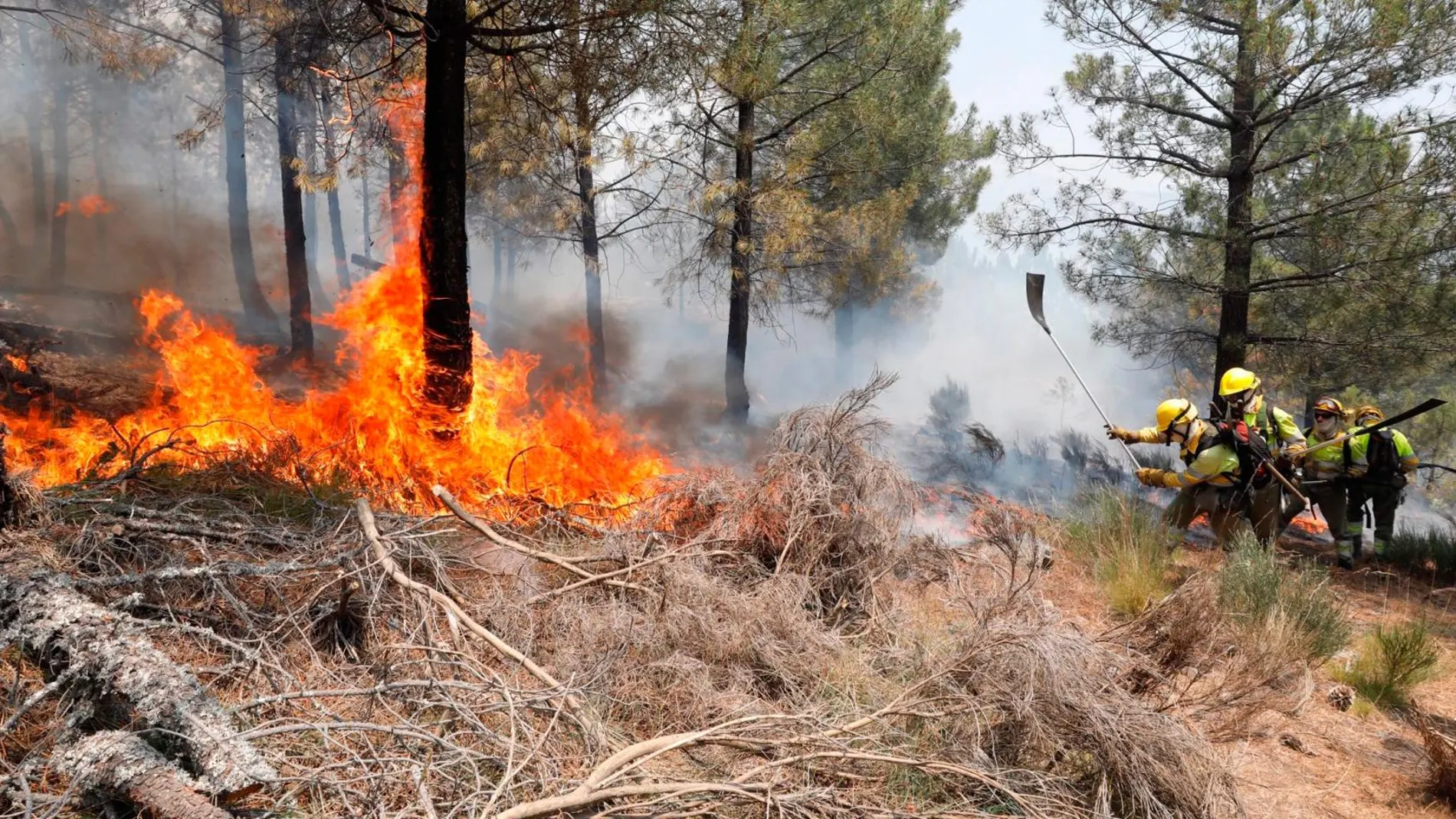Efectivos del operativo contra el fuego se emplean a fondo para sofocar las llamas en el incendio de Gavilanes