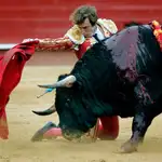 El torero valenciano Román