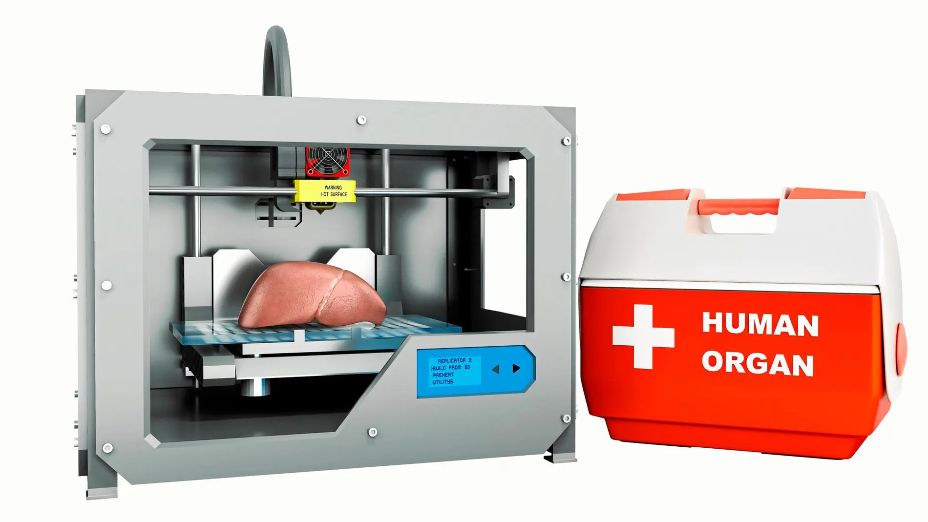 Imprimir los órganos en casa mediante máquinas 3d