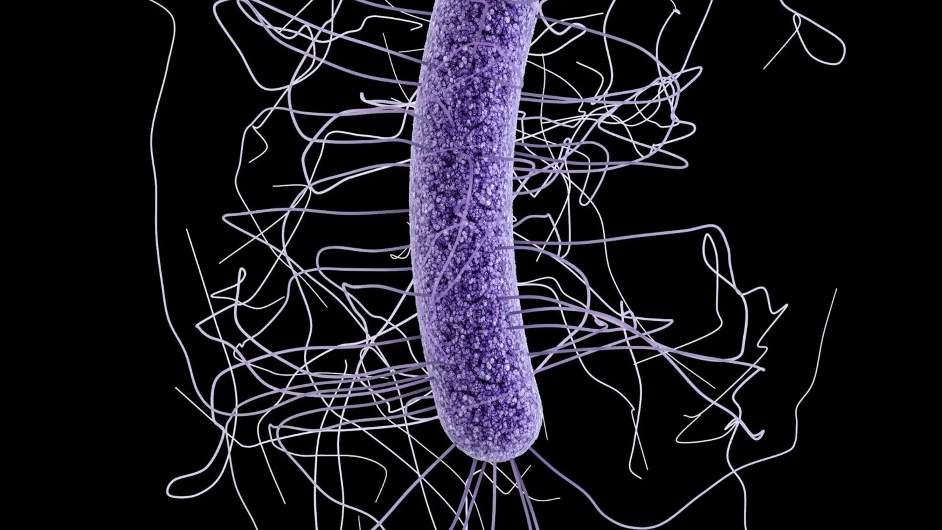 La bacteria Clostridium botulinum puede causar naúseas, vómitos, diarrea y hasta la parálisis del sistema nervioso