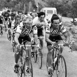 Hinault y Fignon, durante la Vuelta de 1983, con Saronni detrás y Lemond, al fondo