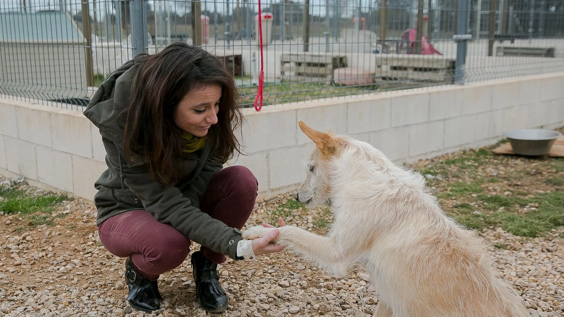 Andrea Levy en una protectora de animales