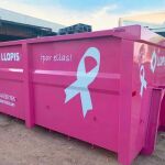 La cuba rosa se colocará hoy en la Avenida de la Palmera y permanecerá expuesta una semana / Foto: La Razón