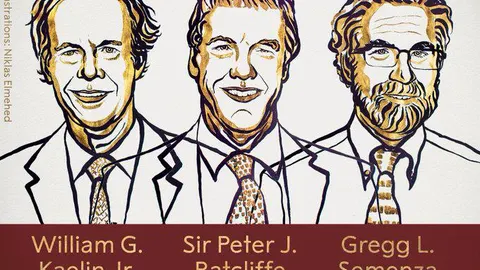 William G. Kaelin, Peter J. Ratcliffe y Gregg L. Semenza