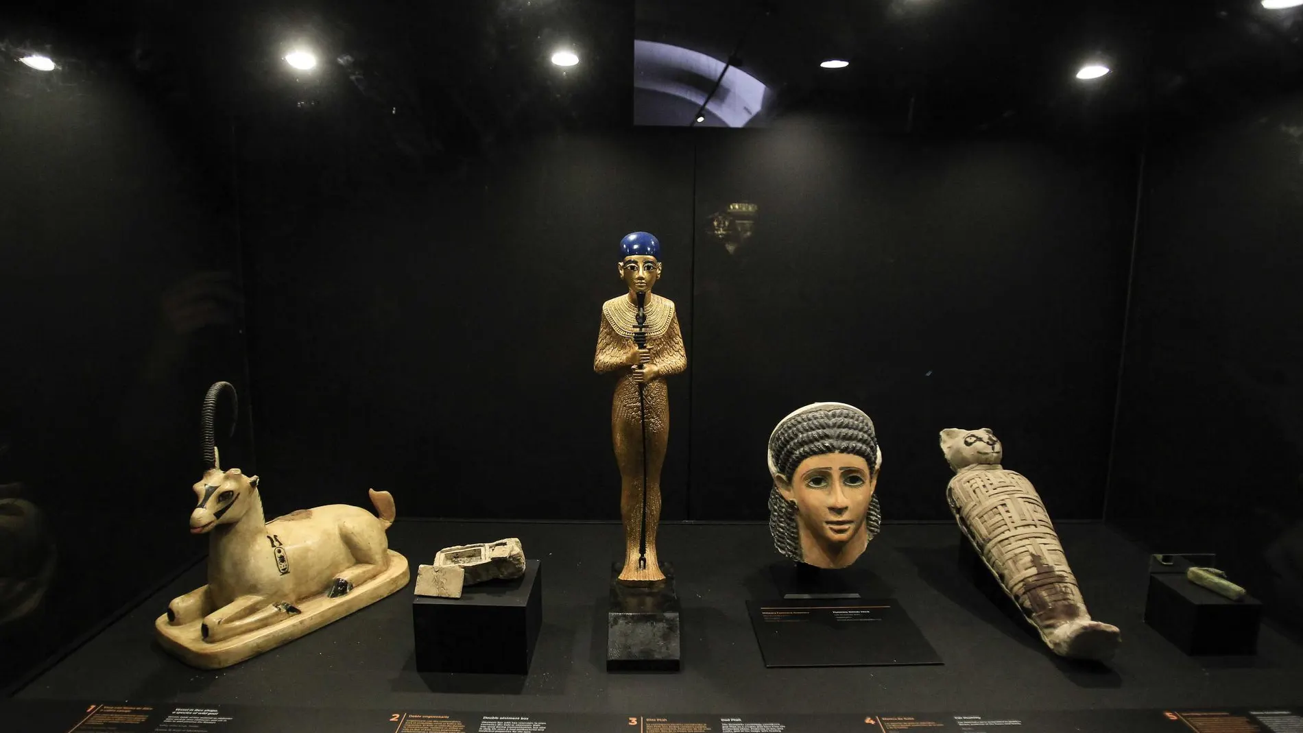 Una muestra de la exposición "Descifrando el antiguo Egipto: Tutankhamón"del Museo Casa de la Ciencia-CSIC / Fotografías: Manuel Olmedo