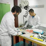 El Ayuntamiento inicia programas de inserción laboral con seguimiento para 1.700 personas