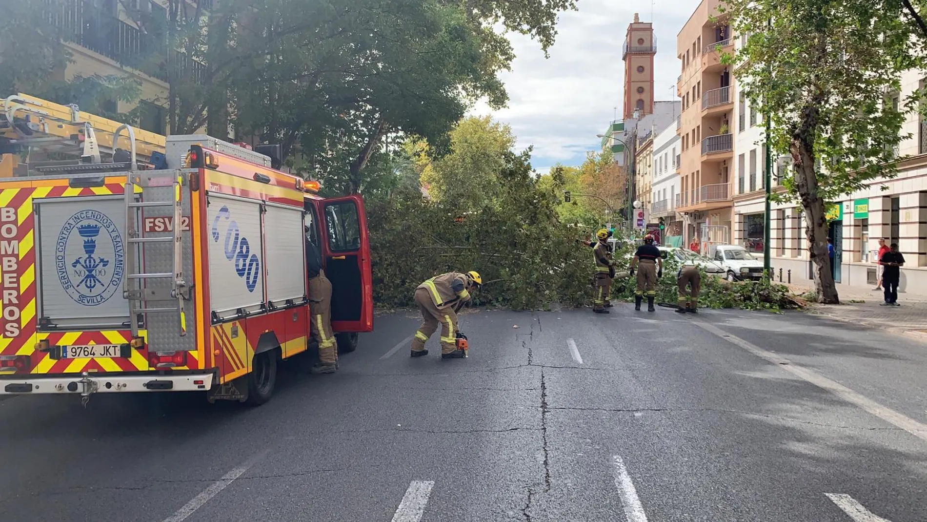 Un bombero arranca la sierra mientras los demás valoran la situación / Fotografías: Fran Cárceles