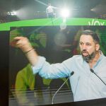 El líder de Vox, Santiago Abascal, ayer en la plaza de toros de Vistalegre, donde reeditó el éxito del año pasado / Foto: Luis Díaz