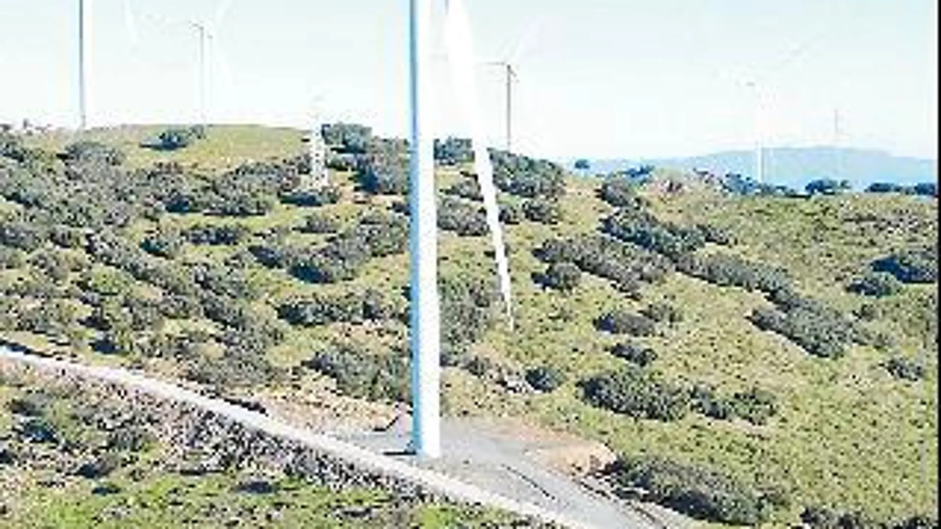 Naturgy tiene importantes proyectos eólicos
