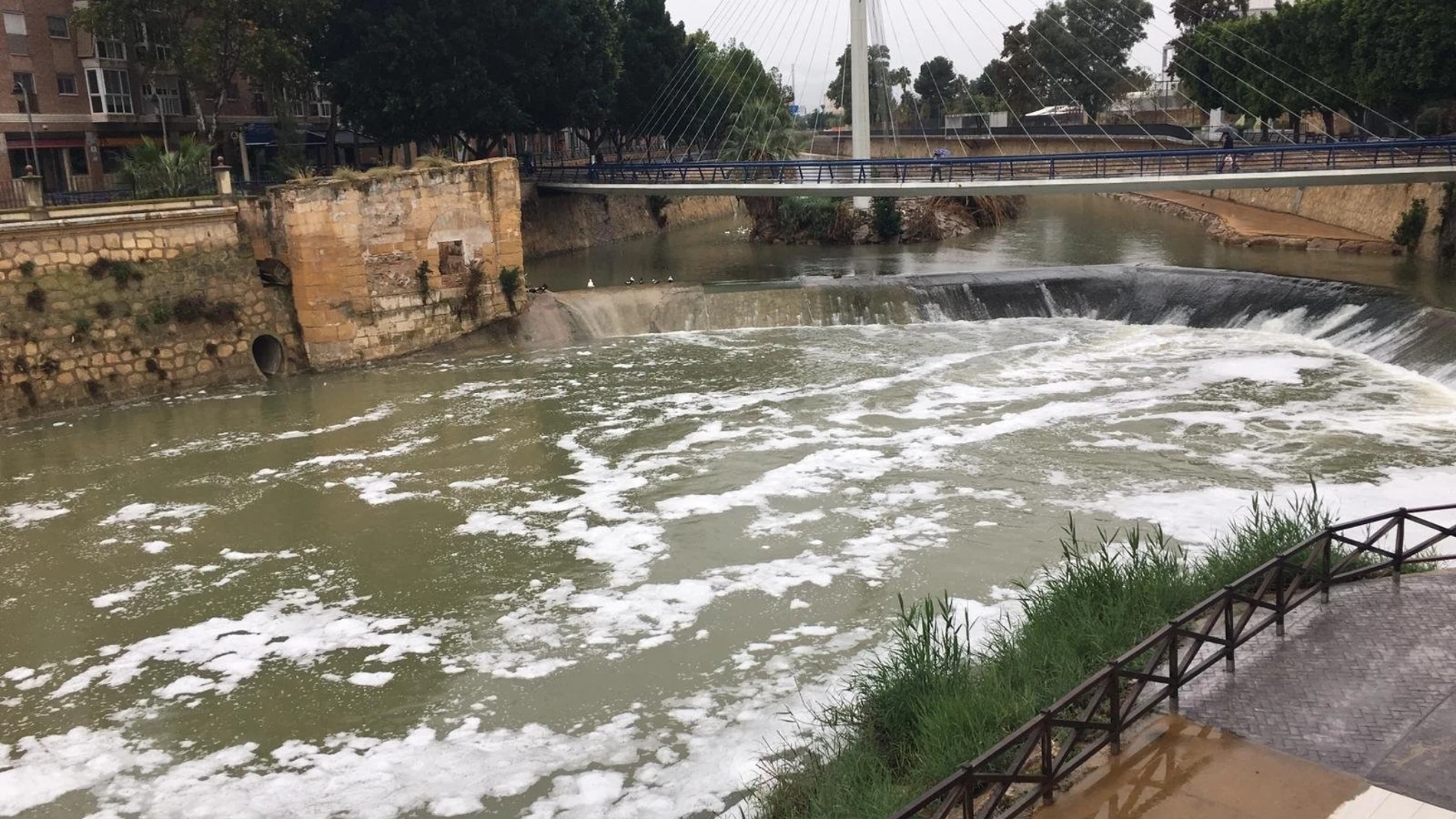 Huermur denuncia un nuevo episodio de espumas en el río segura