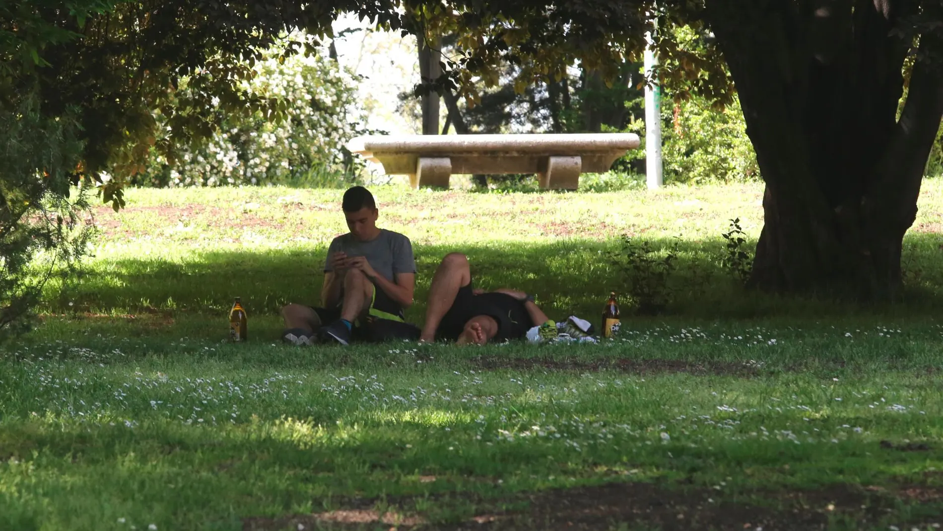 Los parques suelen ser algunos de los lugares en los que los jóvenes realizan el conocido como botellón