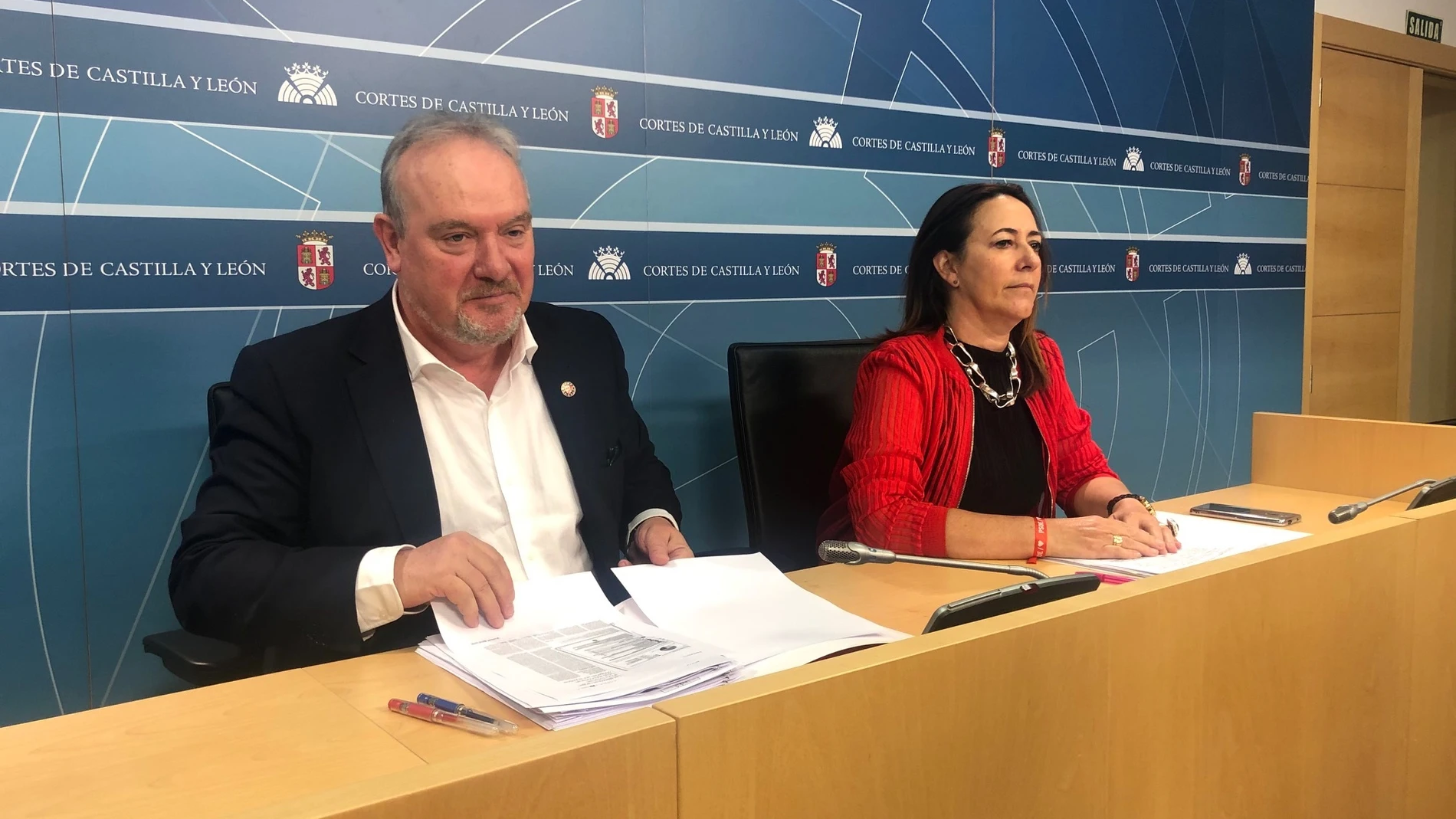 PSCyL insta a "colapsar" la Junta con reclamaciones por el suplemento que pagan por la luz cuando debería haber un fondo