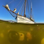 Los agricultores no vertirán más nitratos al Mar Menor