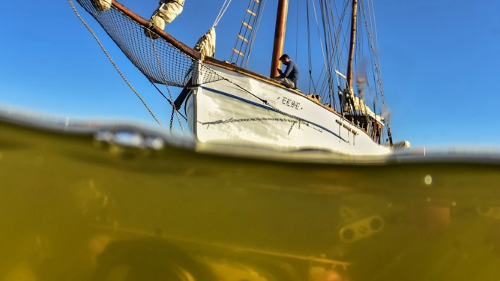 Los agricultores no vertirán más nitratos al Mar Menor