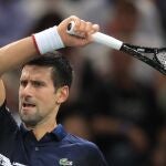 Novak Djokovic es uno de los deportistas de élite que sigue una dieta vegana