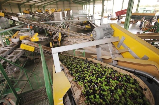 Una almazara en pleno proceso de producción del aceite de oliva / La Razón