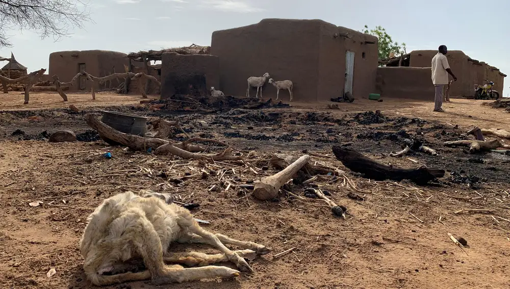 Un animal muerto en uno de los últimos ataques de este verano en Sobane Da, en Mali