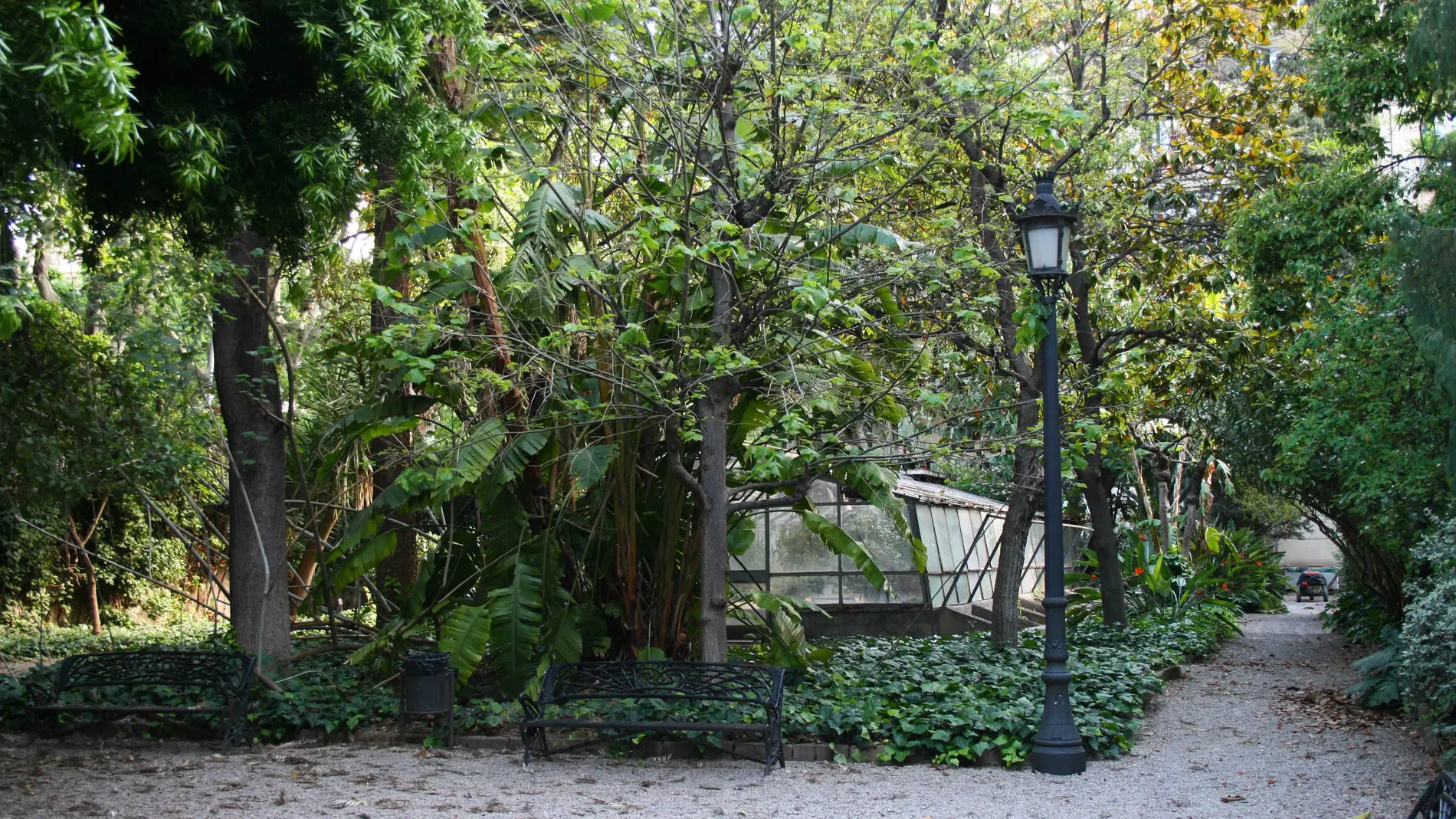 Imagen de un rincón del jardín de la UB