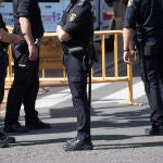 La colaboración entre las policías Nacional y Local permitió la detención del agresor sexual