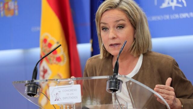 La diputada de Coalición Canaria Ana Oramas, durante la rueda de prensa celebrada hoy viernes en el Congreso