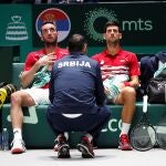 Djokovic y Troicki, en el banquillo serbio