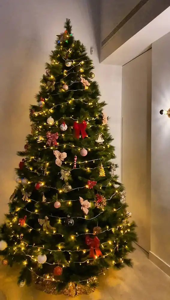 El árbol de Navidad de Paula Echevarría