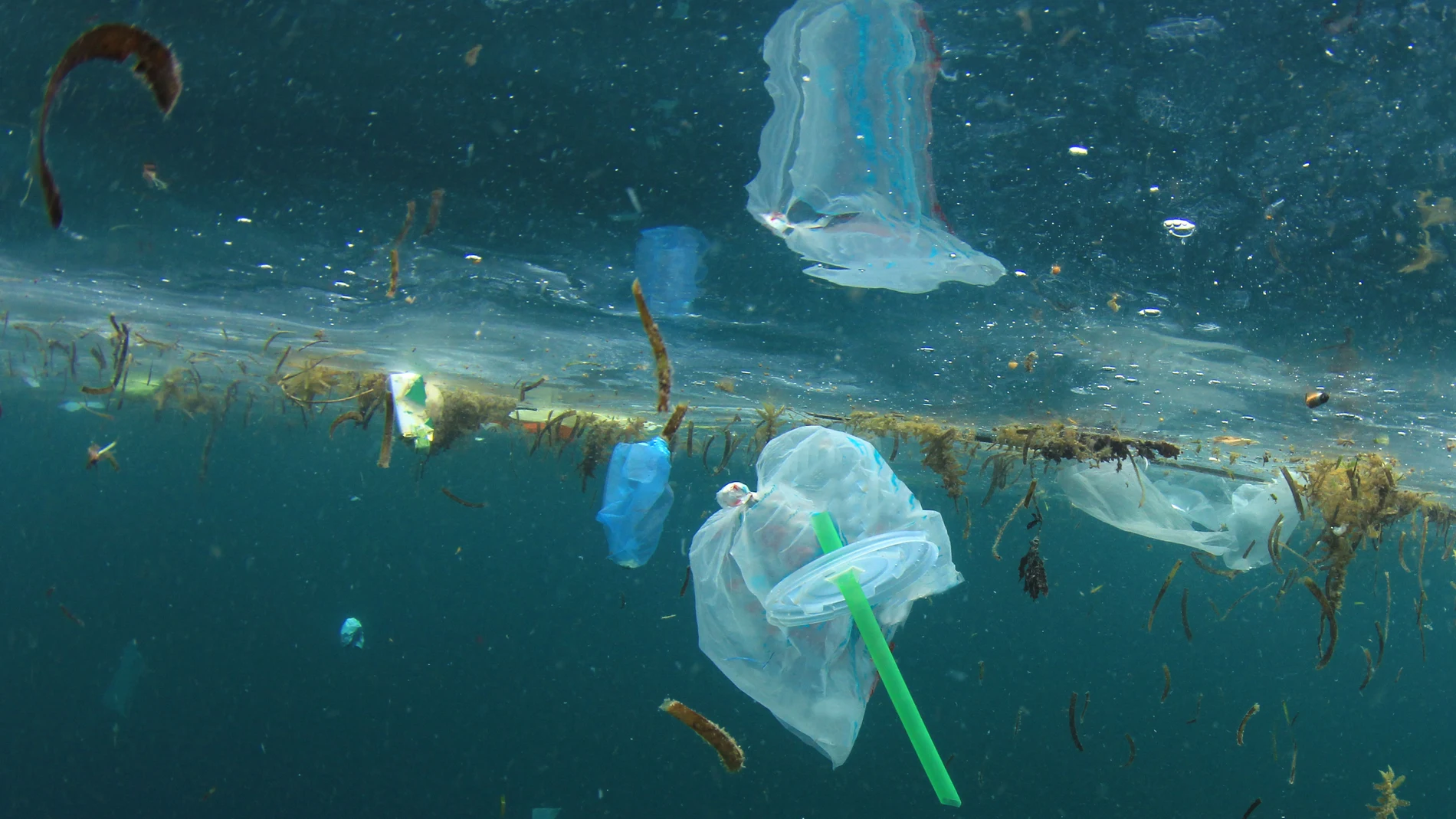 Las pajitas de papel también contaminan. ¿Y ahora qué?