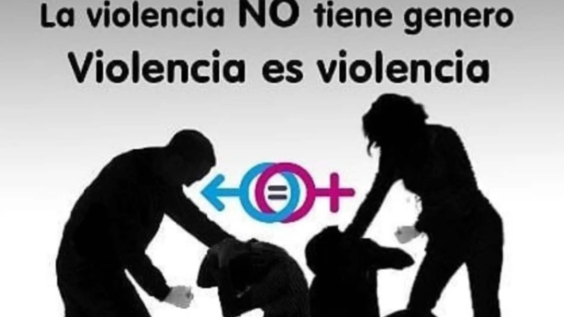 Vox defiende luchar contra todo tipo de violencia