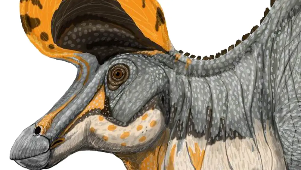 Reconstrucción de la cresta del Lambeosauro