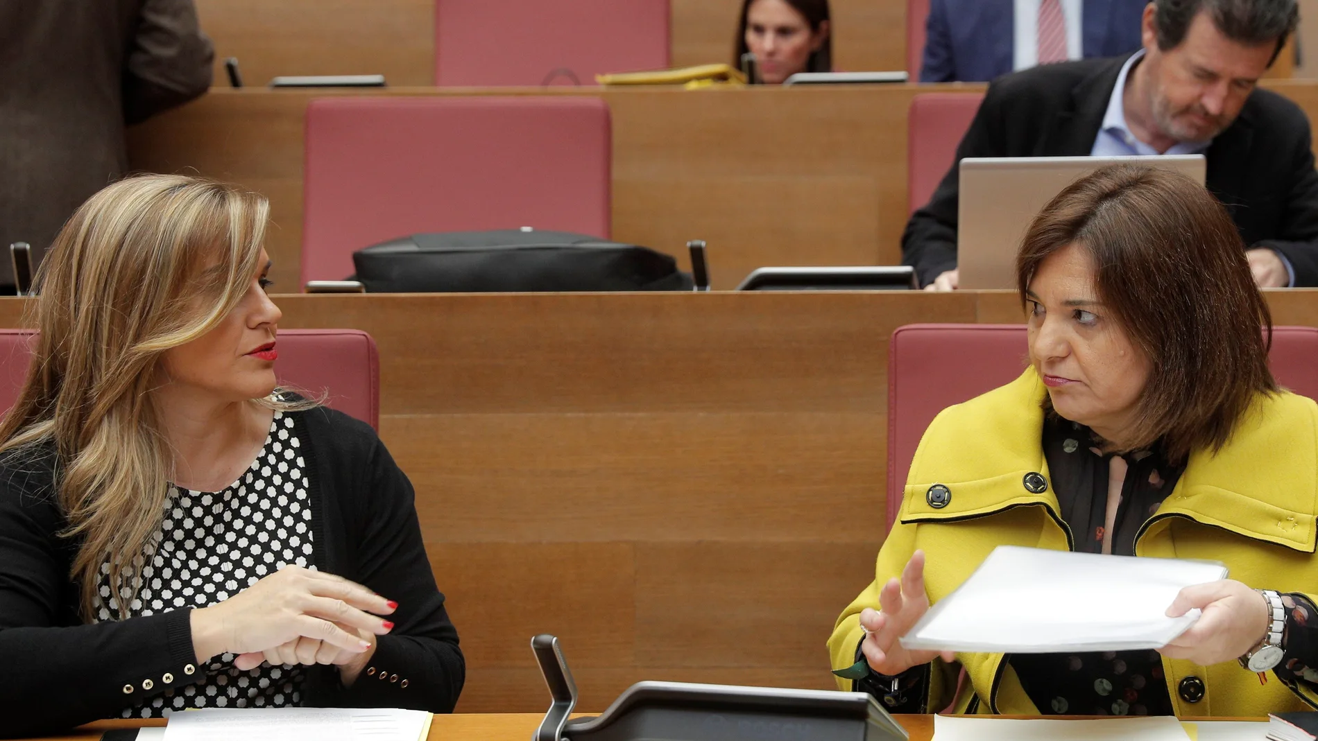 Pleno de Les Corts