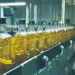 Envasado de botellas de aceite de oliva