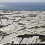 Murcia y Andalucía, regiones con mayor crecimiento en ocho años