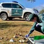 Un guardia civil investiga posibles casos de maltrato animal en Tierra de BarrosGUARDIA CIVIL03/12/2019